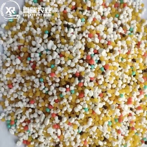 BB Fertilizer NPK 14-23-14
