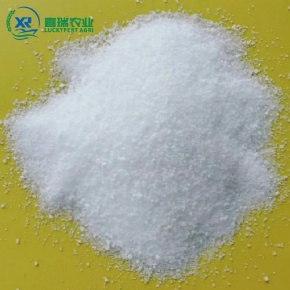 DAP -Diammonium Phosphate Crystal